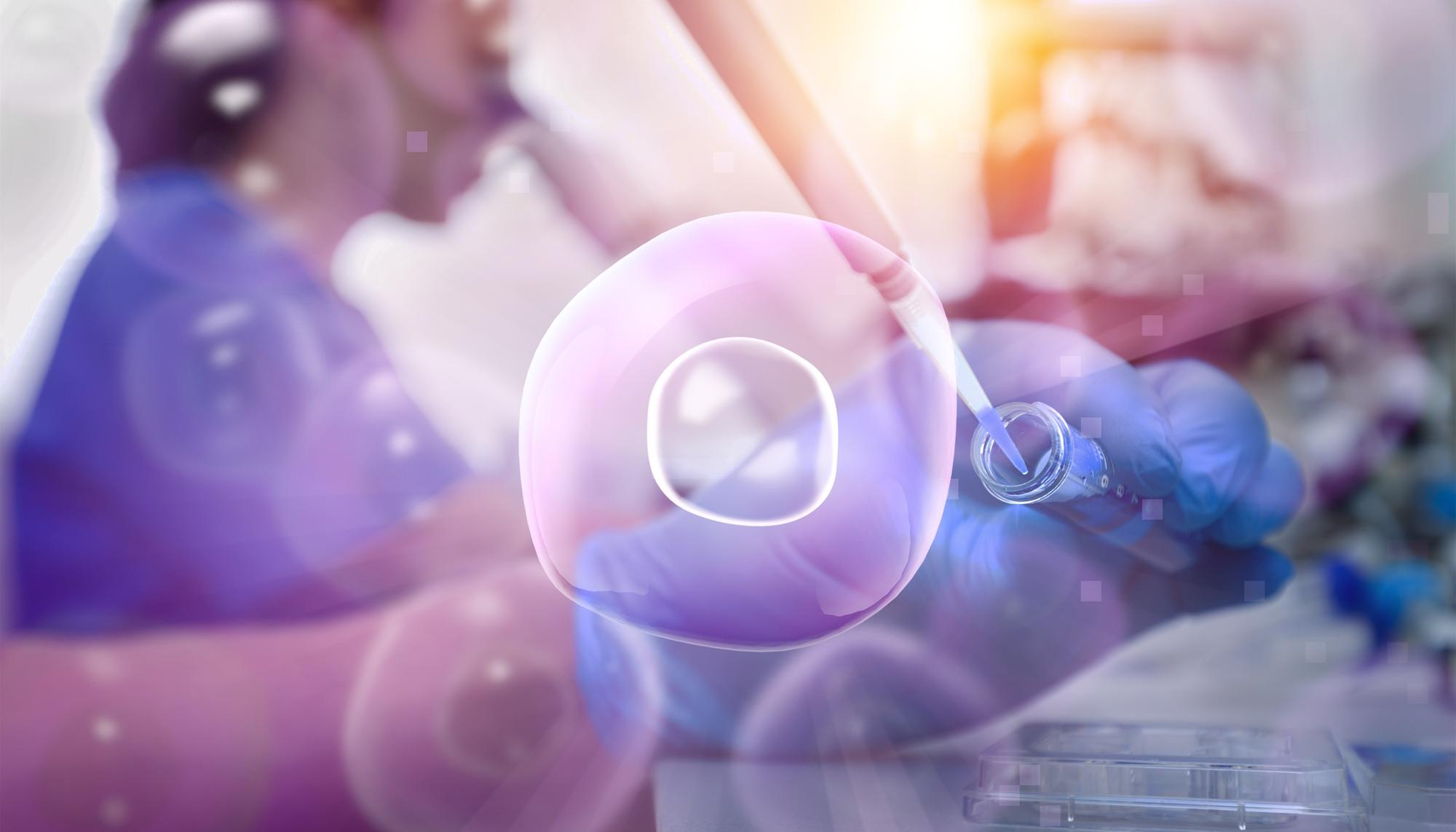 Top-Reasons-for-Embryo-Freezing-Dr-Jeyarani-Kamaraj-IVF-expert